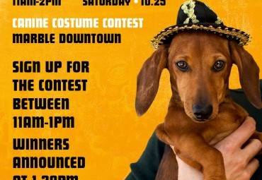 Mutt Masquerade